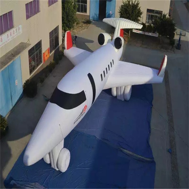 安庆充气模型飞机